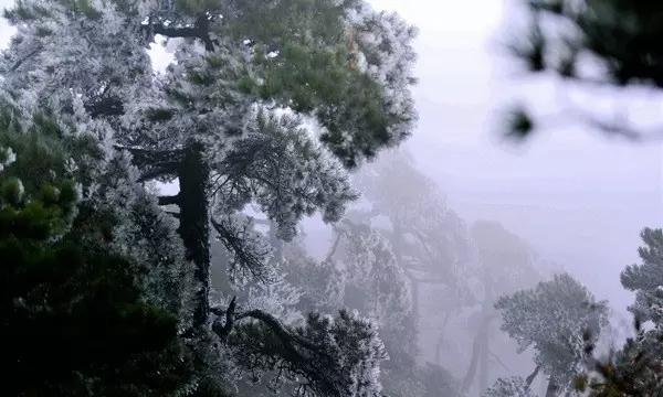 幻世录2